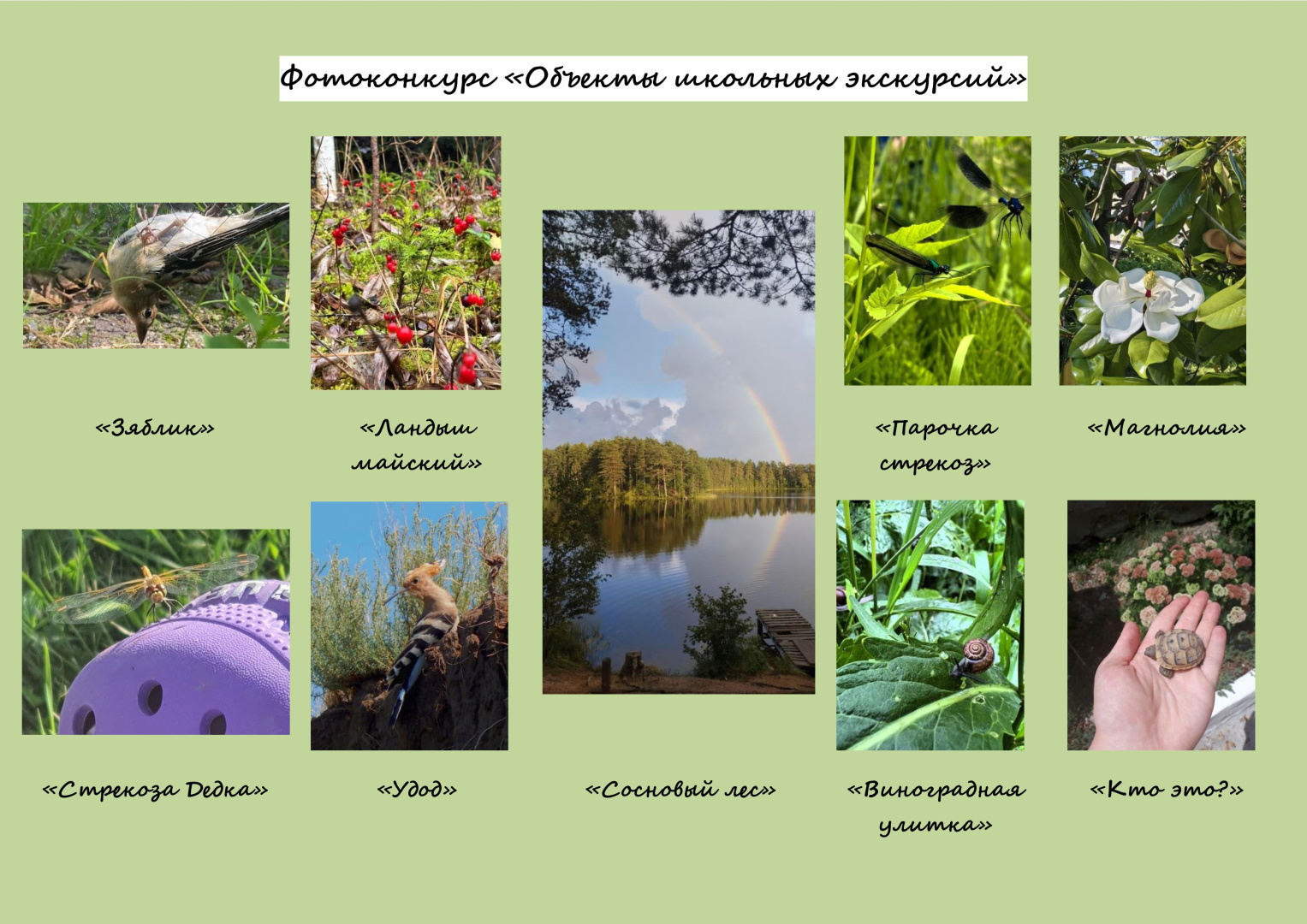 На факультете биологии завершился фотоконкурс "Объекты школьных экскурсий"