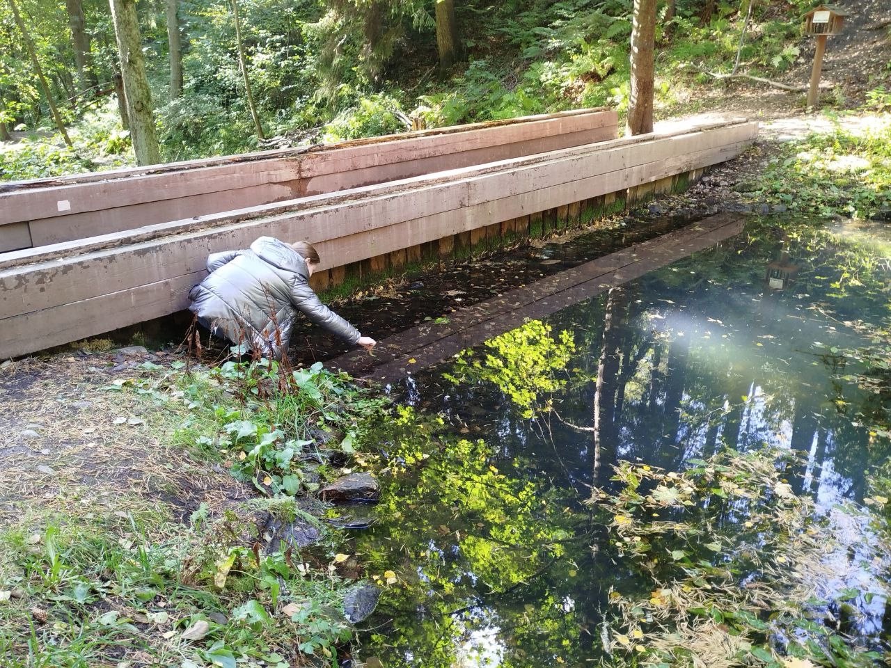 Комаровский берег 5.jpeg