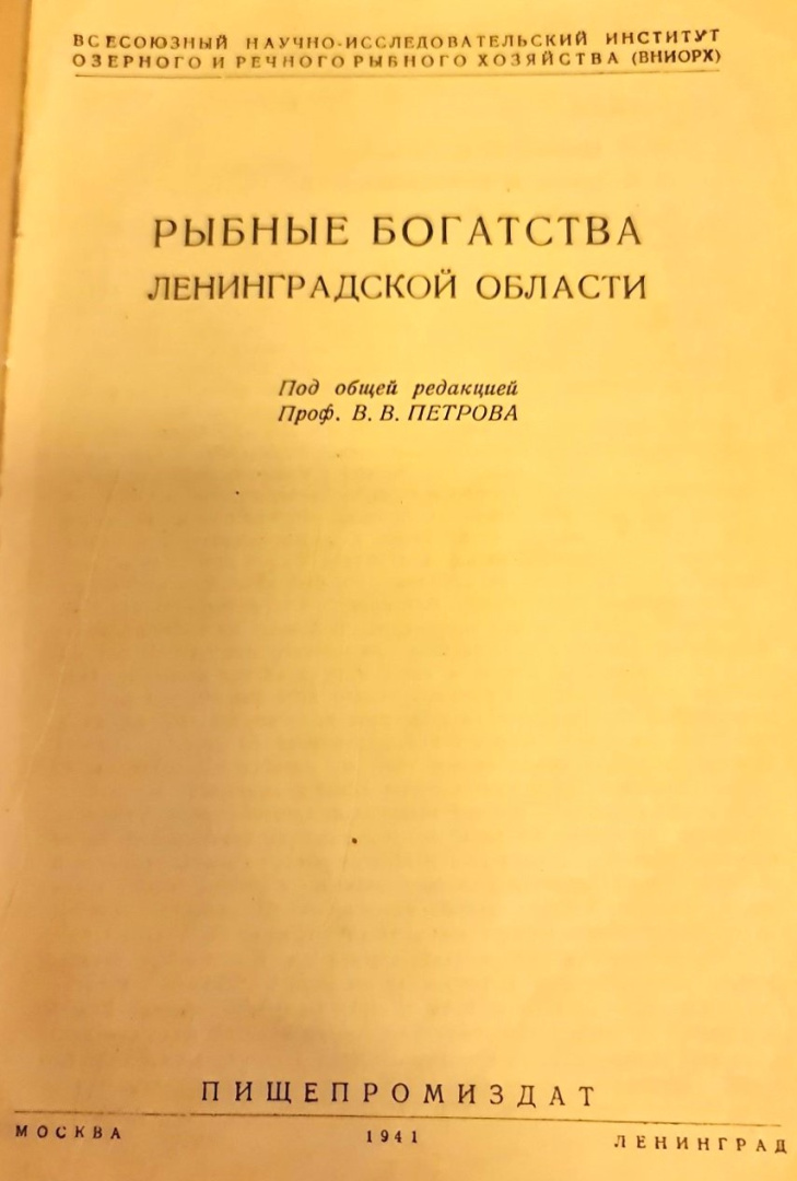 264766304.1.jpg