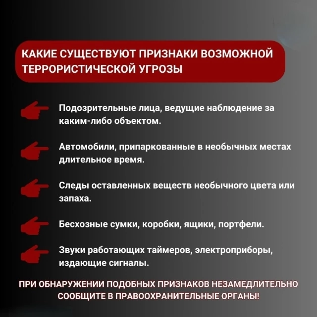 IMG_0264.PNG