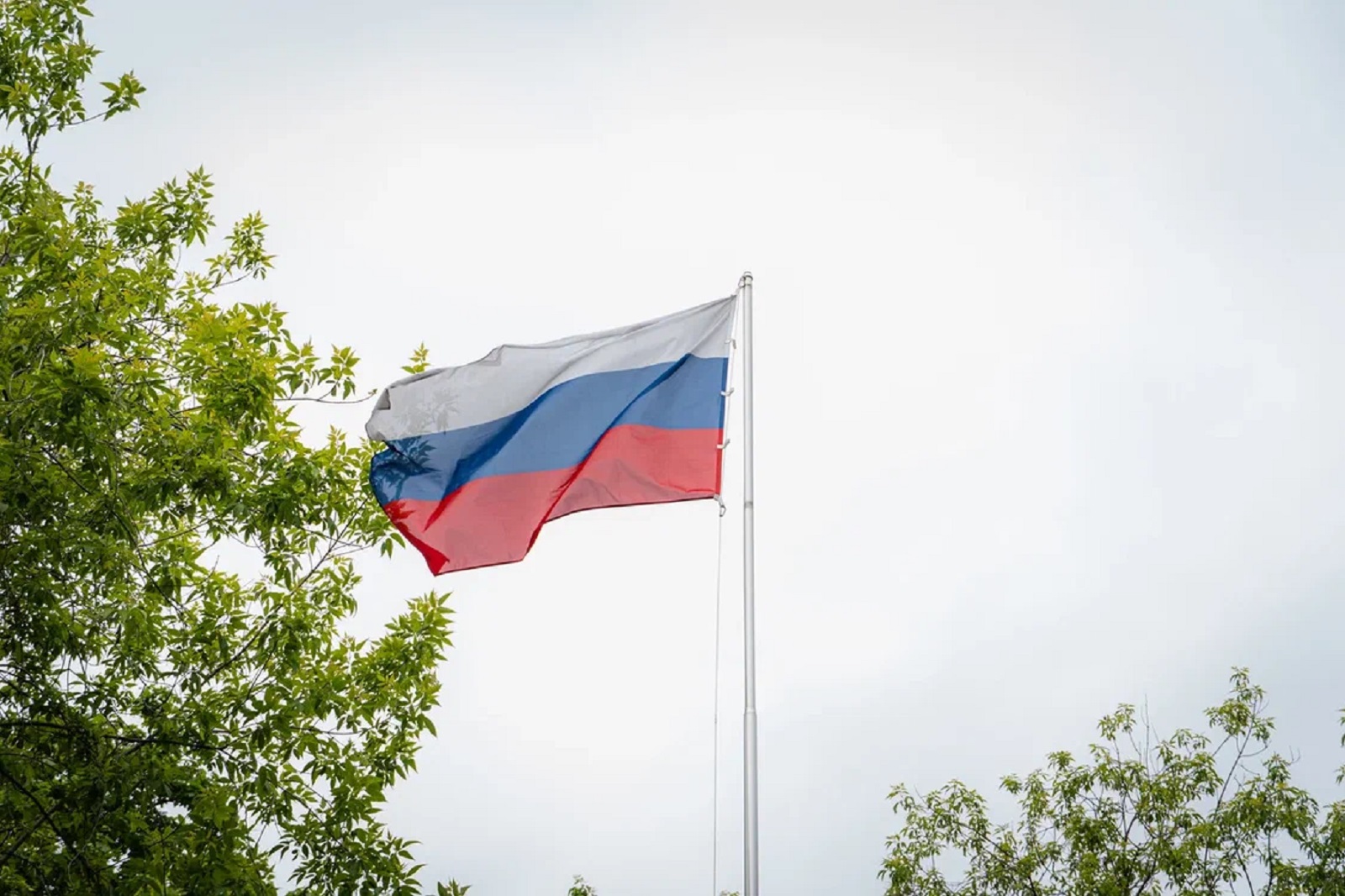 Эксперт: Российский триколор — третий среди государственных флагов мира по времени появления