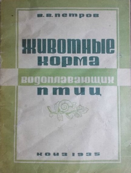 247387101.0.jpg