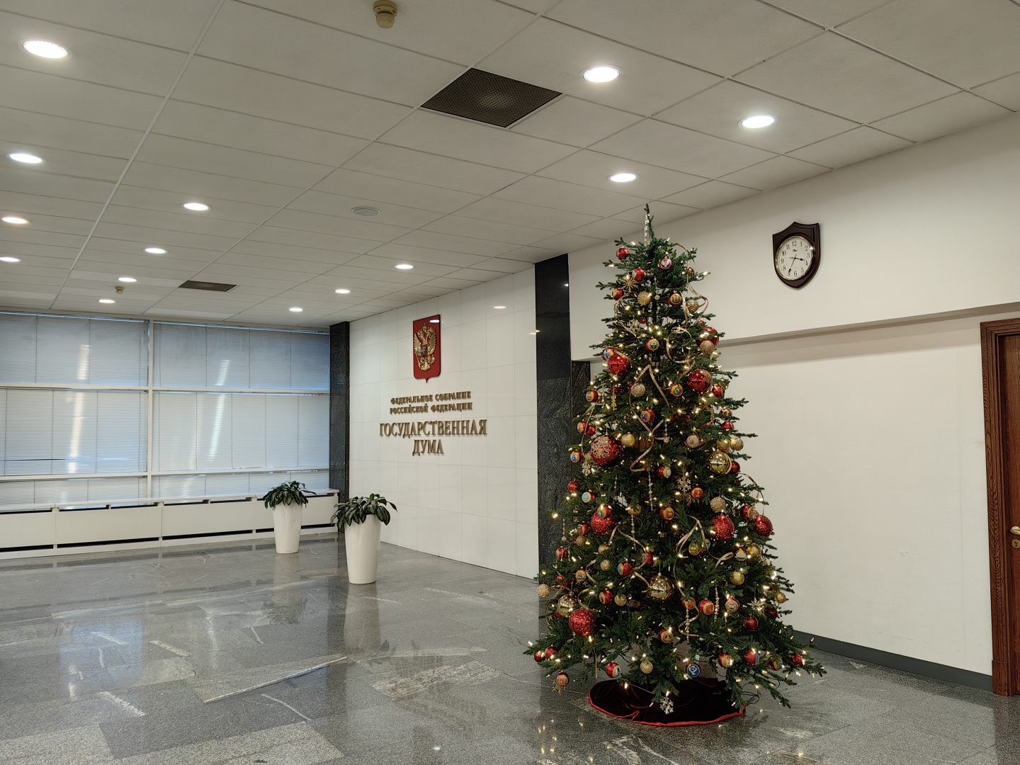 IMG_20241210_153635.jpg