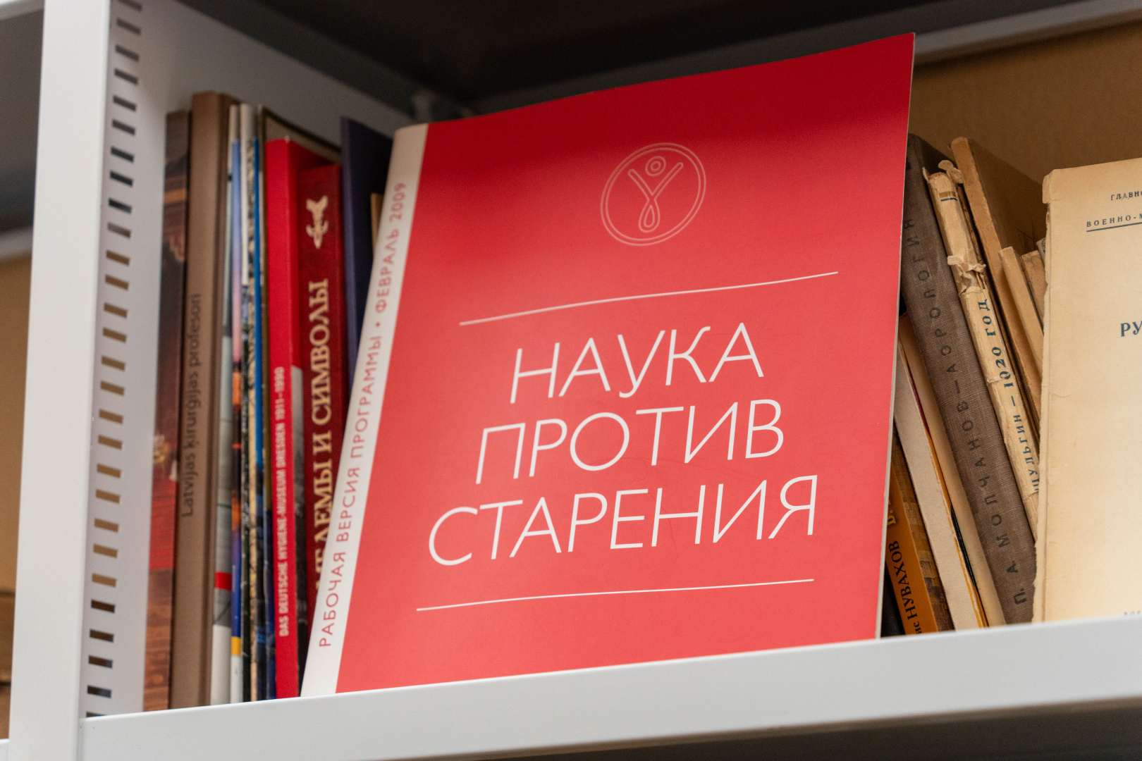 альтернативный текст