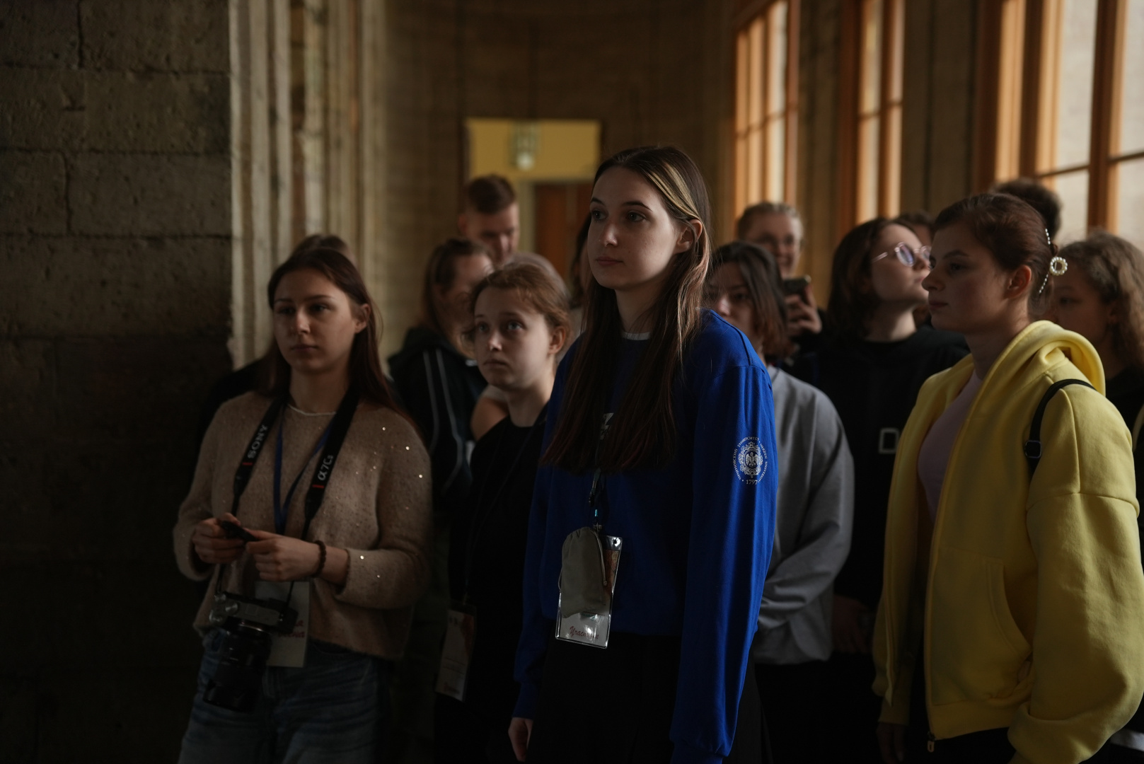 альтернативный текст