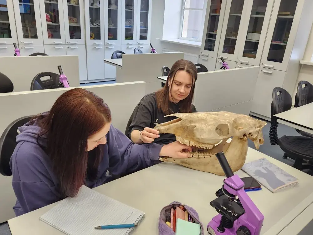 Трамплин 1.webp