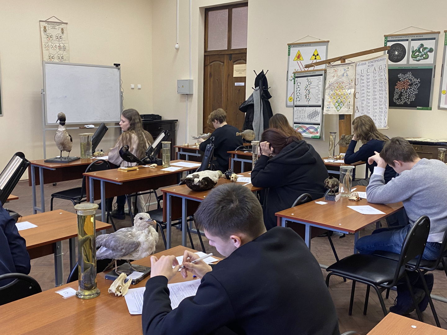 3 и 5 февраля 2025 года на факультете биологии состоялся региональный этап всероссийской олимпиады школьников по биологии 