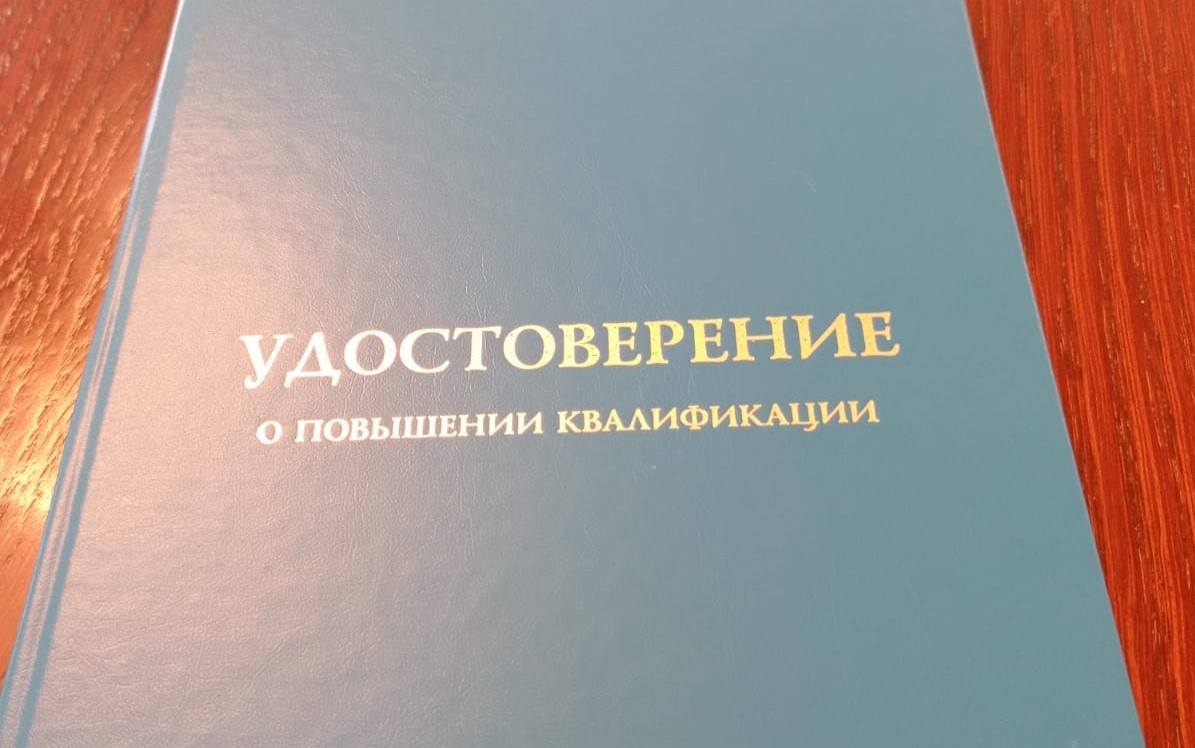 Сотрудники института народов Севера поделились опытом в рамках курса повышения квалификации «Наставник для центра карьеры»