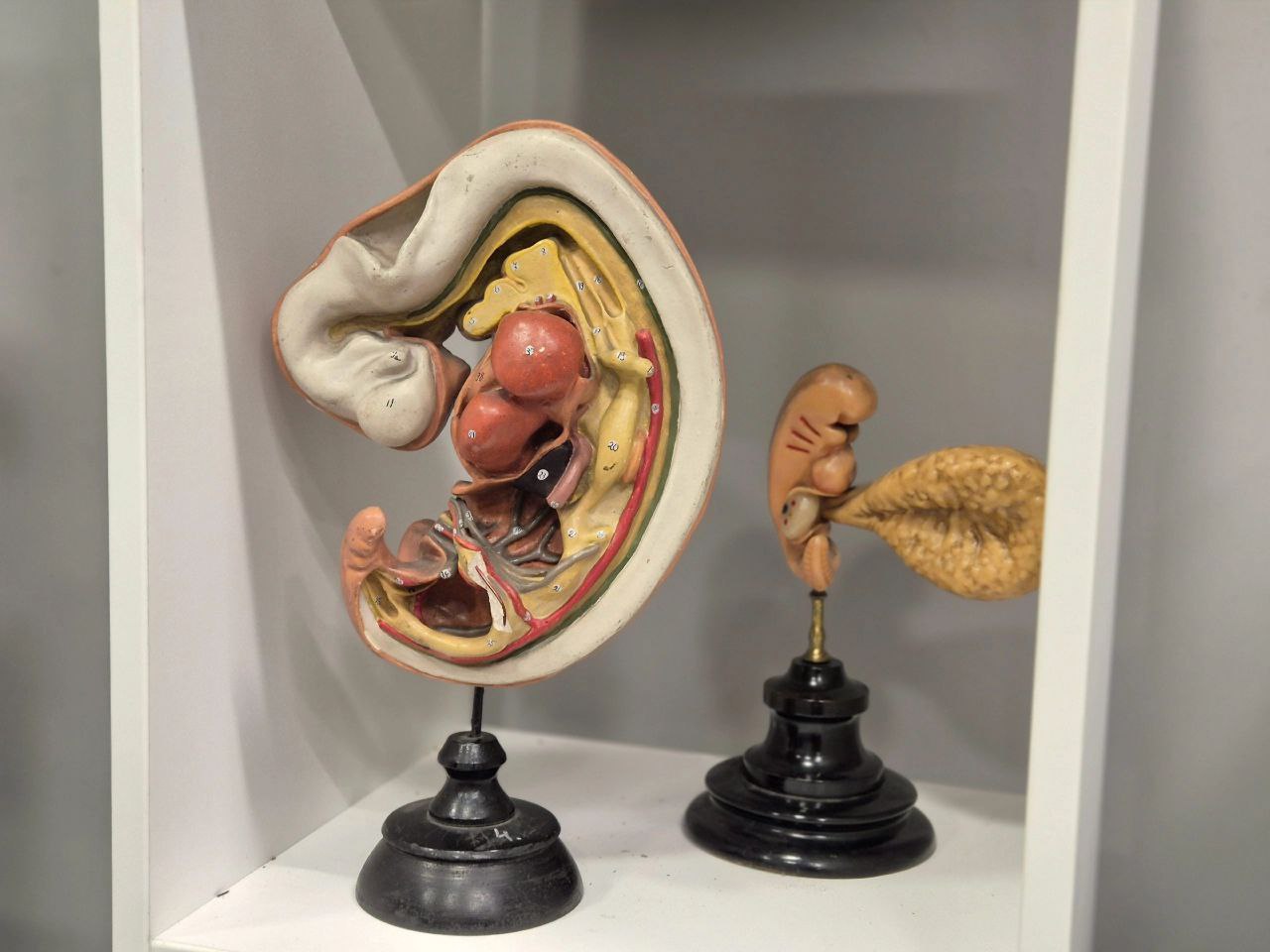 Выставка 2.jpeg