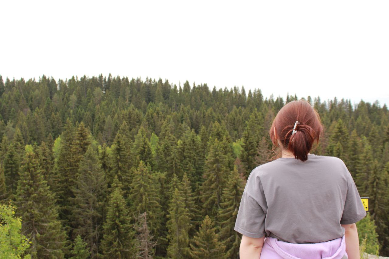 альтернативный текст