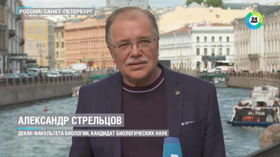 Имя Эксперта